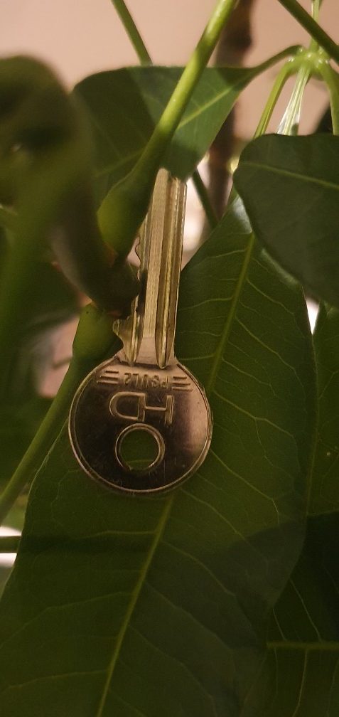 silver single key